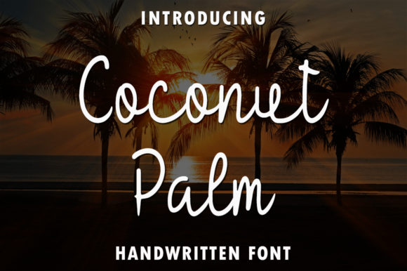 Coconut Palm: A Designer’s Honest Review