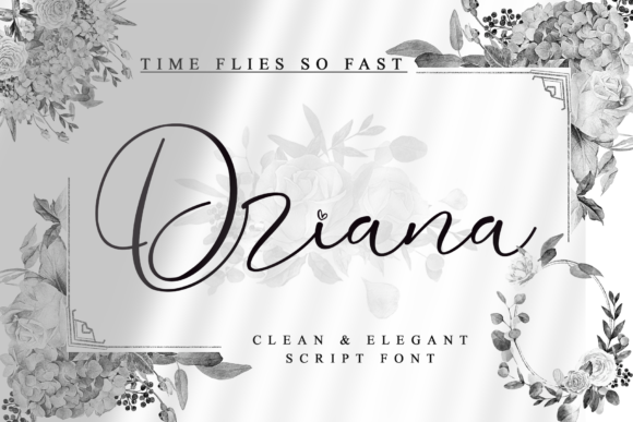 Driana: A Modern Script Font for Editorial Design