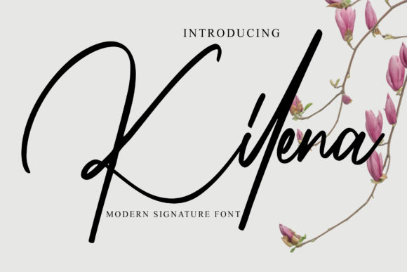 Kilena Font Review: Elevating Social Campaigns
