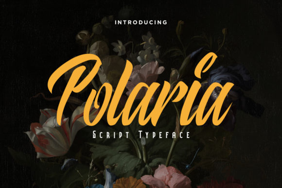 Polaria: A Designer’s Honest Take on Script Amp’s Latest Release